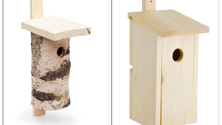 Sätt upp en fågelholk