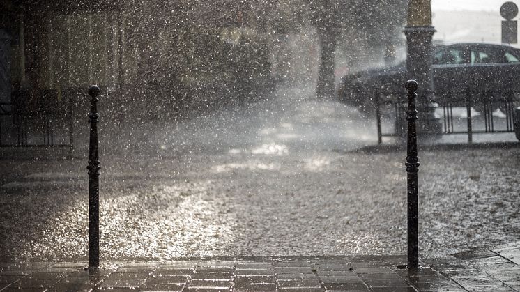 Ekstremt vejr fører til ekstreme problemer. En rekordvåd sommer i Danmark kan være skyld i øget forurening af naturen. Foto: PR.