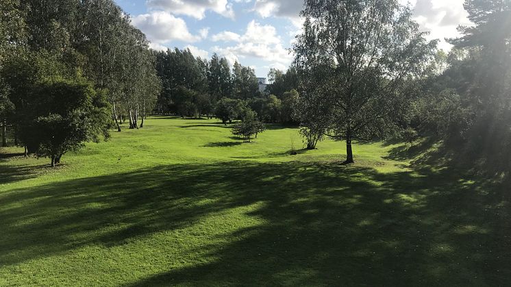 Sommar i Järva DiscGolfPark