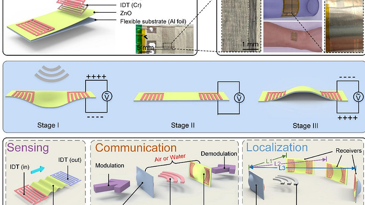 A graphic showing the principles for processes of sensing and communication, acoustic ranging and positioning, using the flexible acoustic wave device