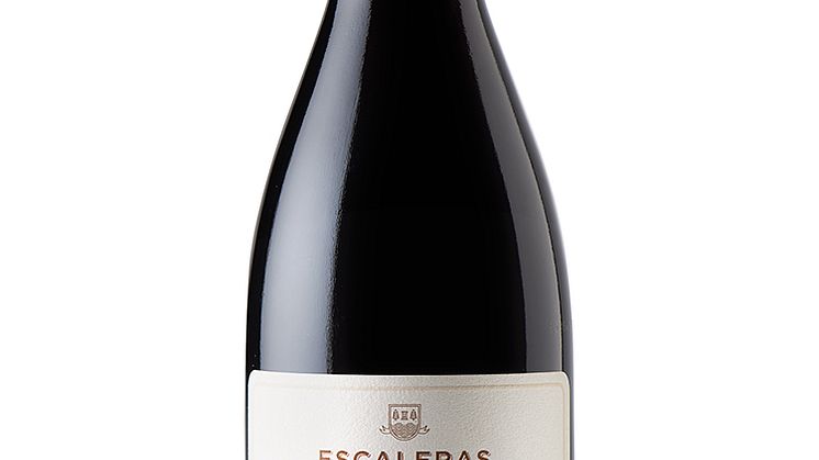 Ny unik Pinot Noir från Chile 