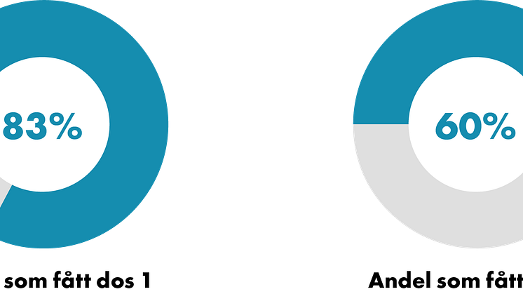 210813_Cirkel andel.png