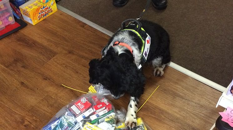 ​Illicit tobacco trade targeted in trading standards operation