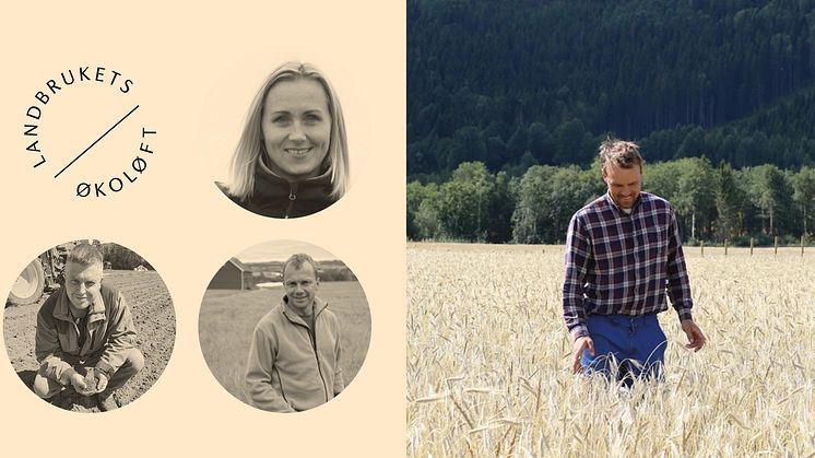Hovedbilde av Kristoffer S. Skinnes, Silja Valand, Eirik Kolsrud til venstre og Anders Eggen til høyre. 
