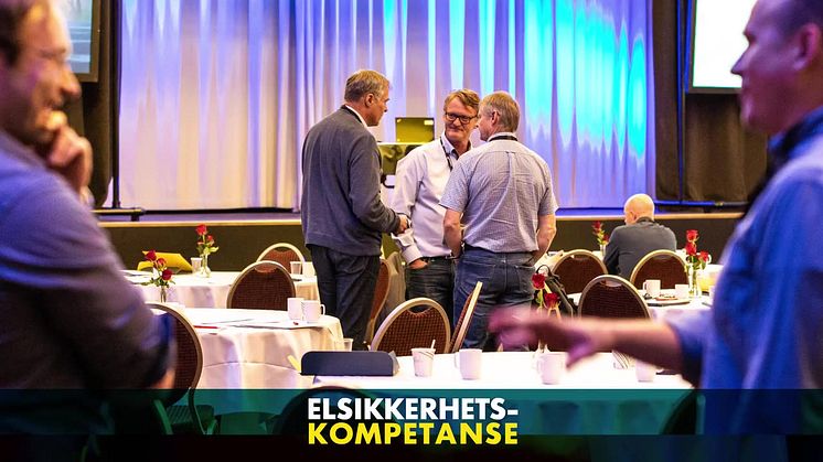 Elsikkerhetskompetanse 2019 - tilbakeblikk