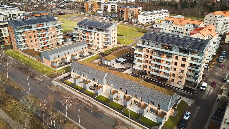 Pålsjö Äng i Helsingborg. Husen är byggda av NCC på uppdrag av Helsingborgshem. Foto: NCC/Studio-e.