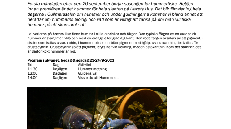 230918 Hummerhelg på Havets Hus.pdf