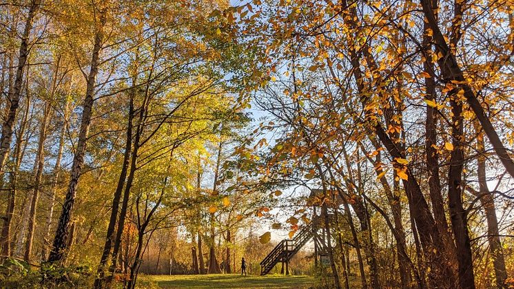 Noch einmal die vielen Farben der Natur genießen beim Wandern in Brandenburg. Foto: TMB-Fotoarchiv/Antje Tischer. 