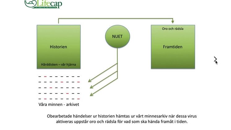 Hur lagras minnen av sexuella övergrepp och kränkningar?