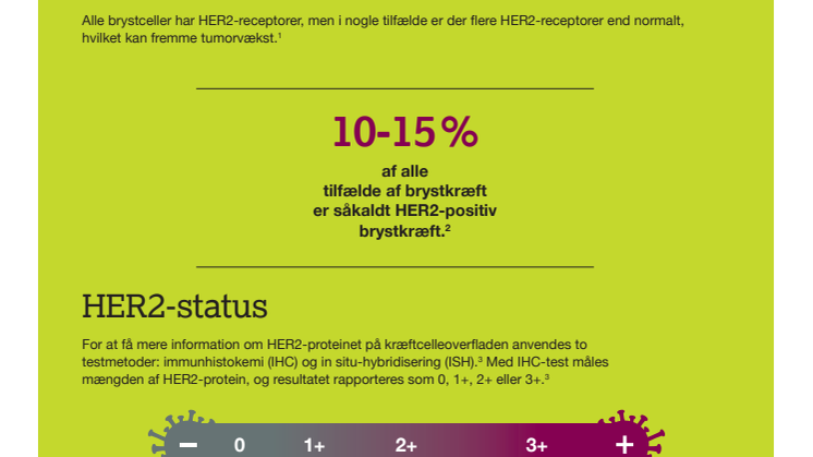 HER2-positiv brystkraeft