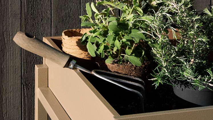 Nordsjö Century Brown