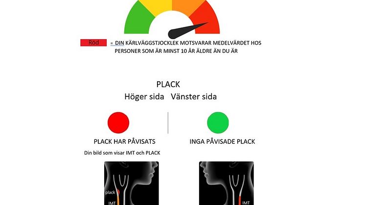 210702 VIPVIZA ultraljudsbeskedet