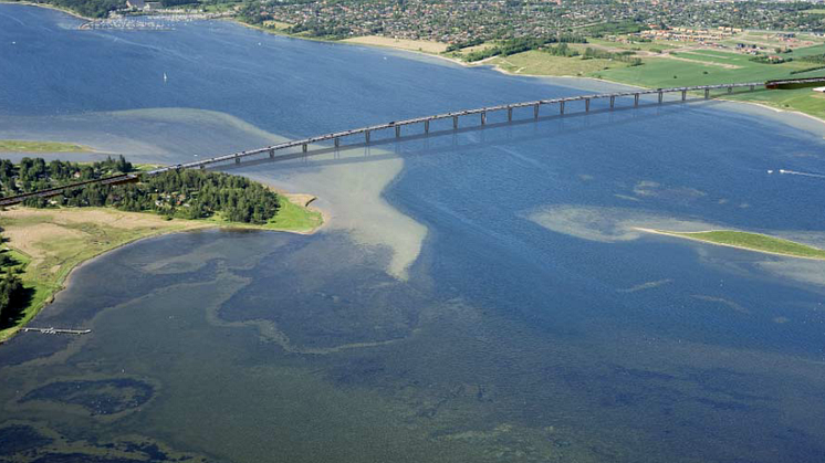Tyréns i prestigefyllt danskt broprojekt