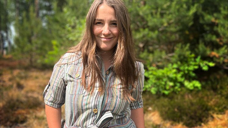 GP värvar politikreporter från DN 