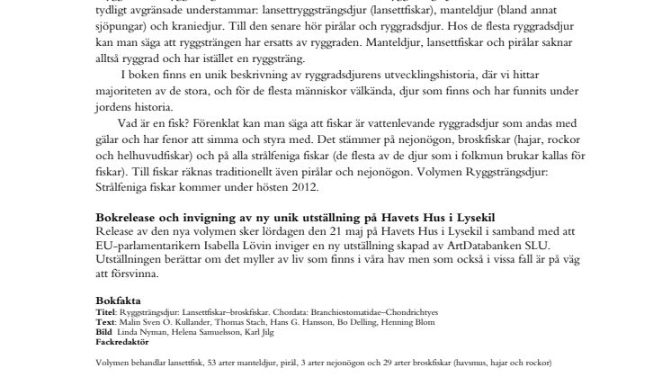 Bli en fena på alla fiskar! 