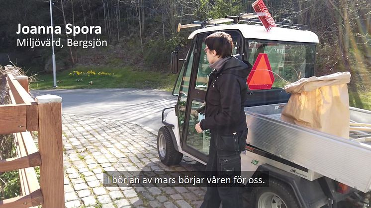 Vårskötsel i Bergsjön