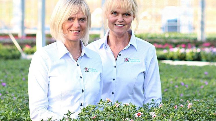 Systrarna Maria och Cecilia driver Arvidssons i Fjärås där de odlar bland annat azalea.