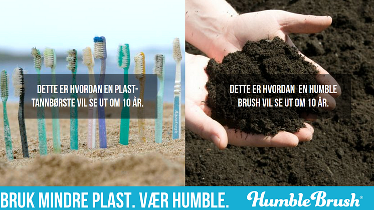 The Humble Brush