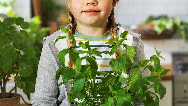 Omslag Hållbarhetsrapport 2019