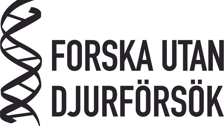 Tretton projekt får anslag 2017