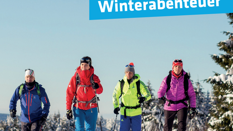 Flyer SMQ Snow_2025.pdf
