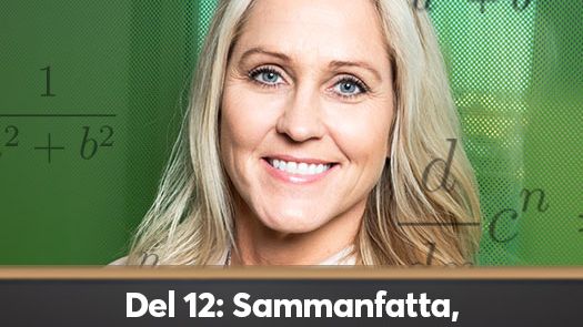 Compricers Ekonomiskola del 12