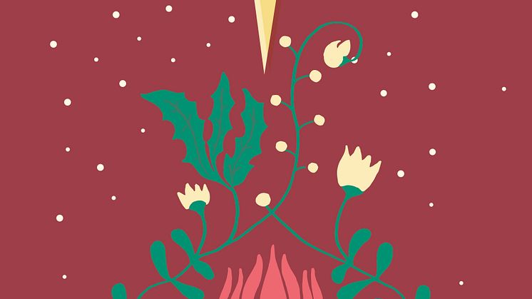 Jul-under-polstjarnan_cover