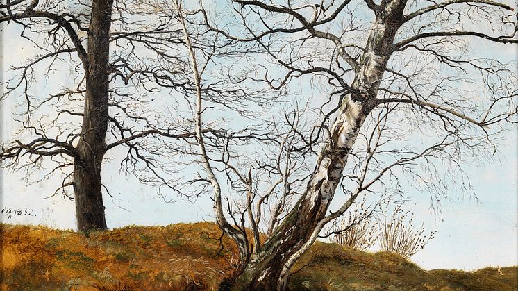Carl Julius von Leypold, Oak and Birch, 1832. Photo: Anna Danielsson/Nationalmuseum