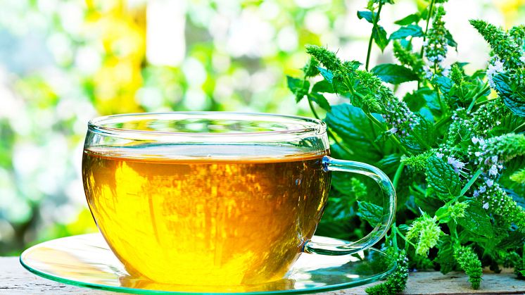 Herbs that can boost your mood and memory