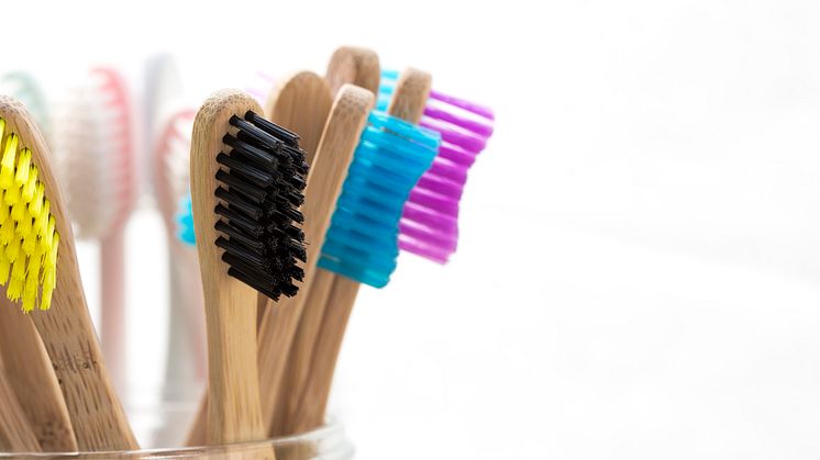 Humble Brush miljø 2