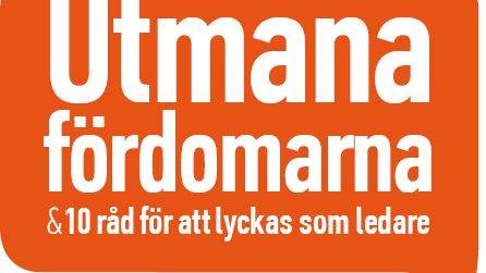Scouterna lyfter mångfaldsfrågan i Almedalen