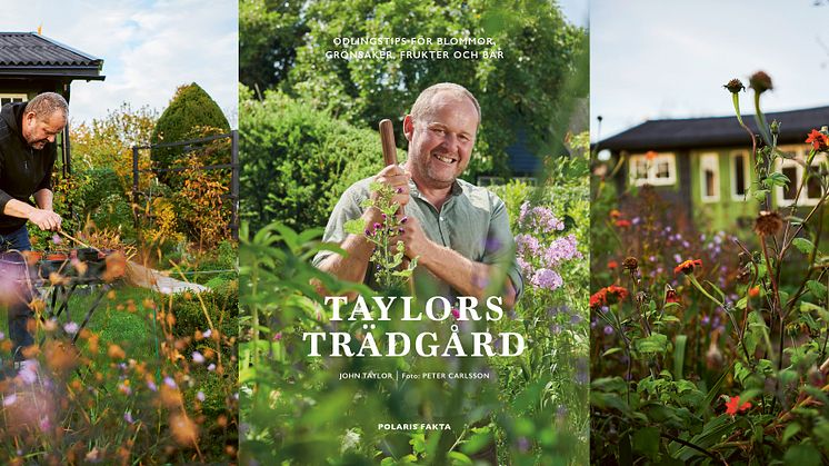 Trädgårdsprofilen John Taylor är aktuell med en ny bok. 