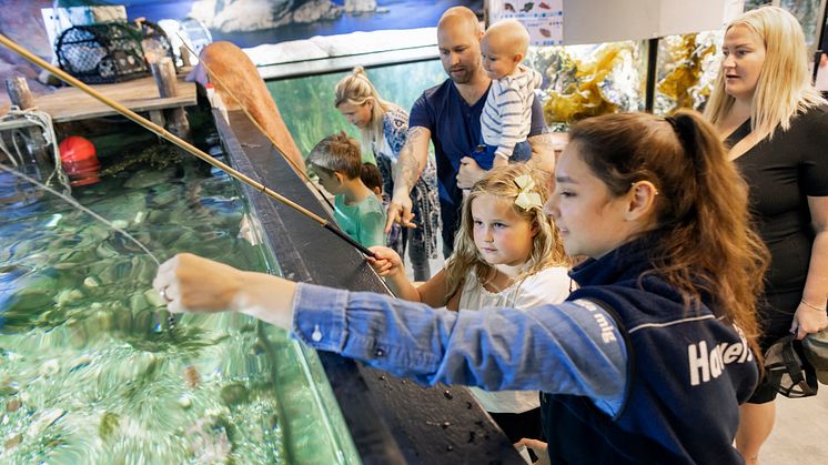 Omvänt fiske i akvariet 2023
