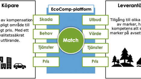 Projekt EcoComp