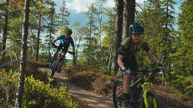 Trailcykling sommar