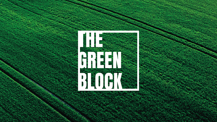 Crypto Oasis Ventures und Roland Berger starten "The Green Block" – einen Thinktank und Launchpad für Web3- und KI-Technologien mit nachhaltigem Anspruch