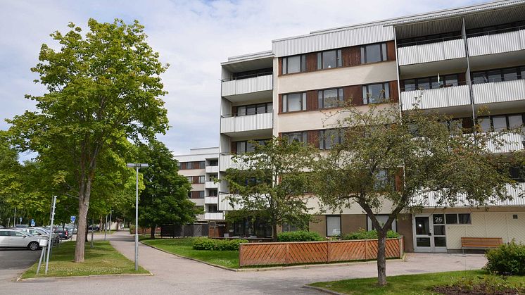 Norrbågen