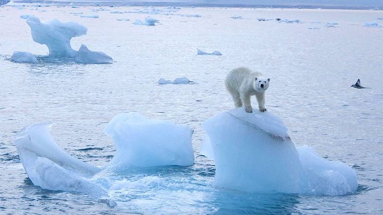Take an ‘Arctic Adventure & Exploration’ on Fred. Olsen Cruise Lines’ Boudicca in summer 2015 