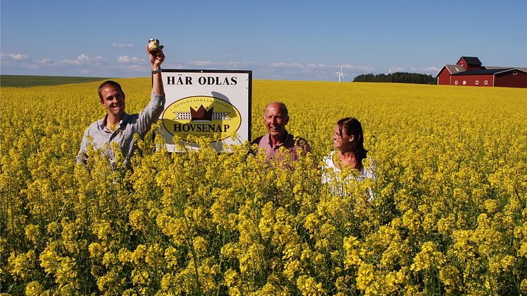 Hovsenap är ett familjeföretag som tillverkat delikatessenap sedan 1994 och som idag drivs av Gustav Stigson och hustrun Petra. Senapen märks med Från Sverige och det har den gjort sedan Från Sverige-märkningen lanserades 2016. 