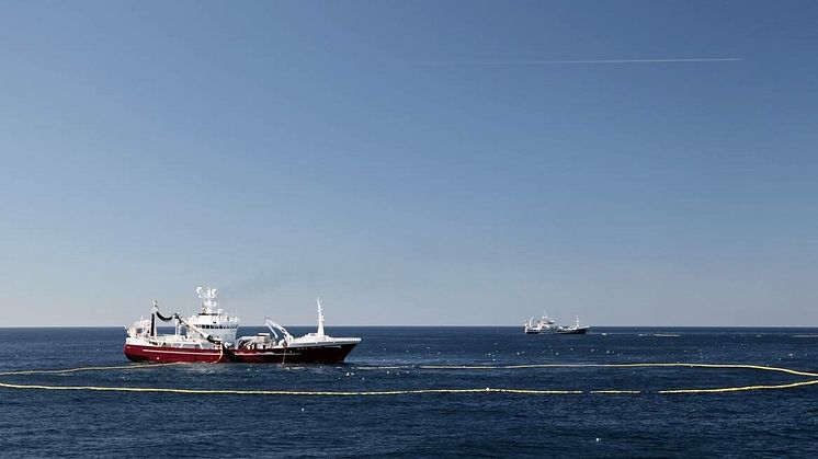 Klimatsmart KRAV-märkt sill till årets julbord