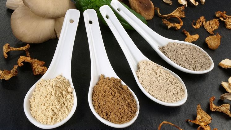 Beliebtes Superfood: Vitalpilze bei Krankheiten und Symptomen. Foto: Adobestock / ExQuisine