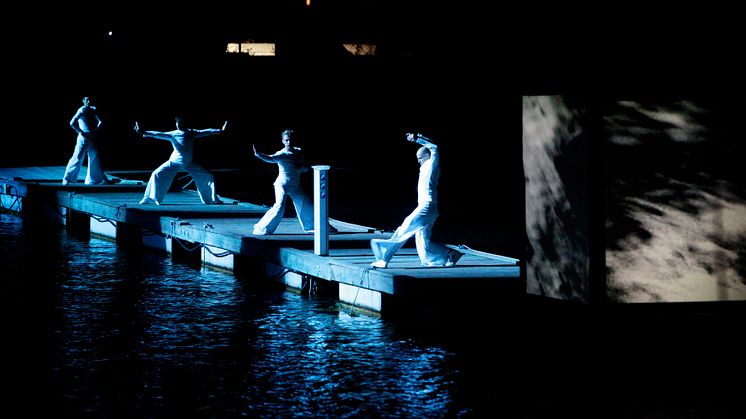 DOCKPLATS 2010