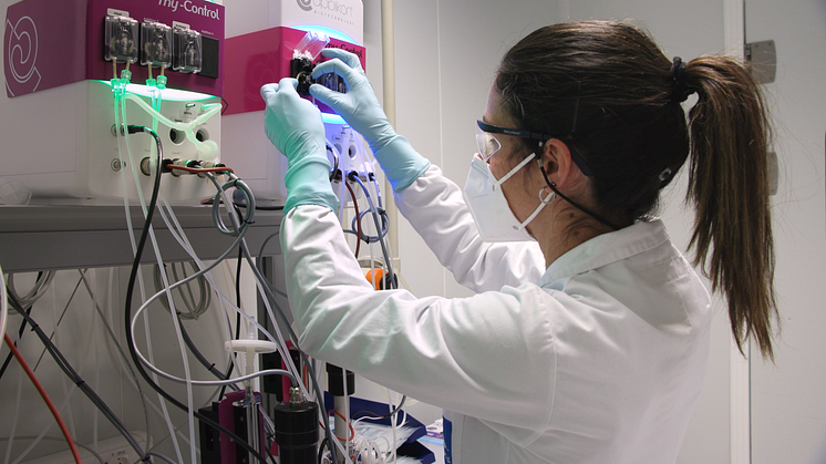 2. Técnica trabajando con bioreactores en I+D_HIPRA