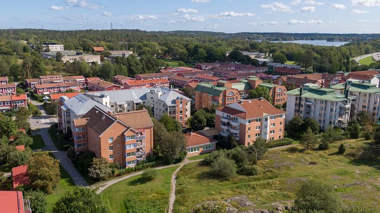 Vrenen effektiviserar sin förvaltning med Avy
