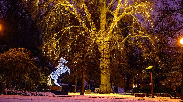 Vinterljus_enhörning_DSC_2902_16.9.jpg