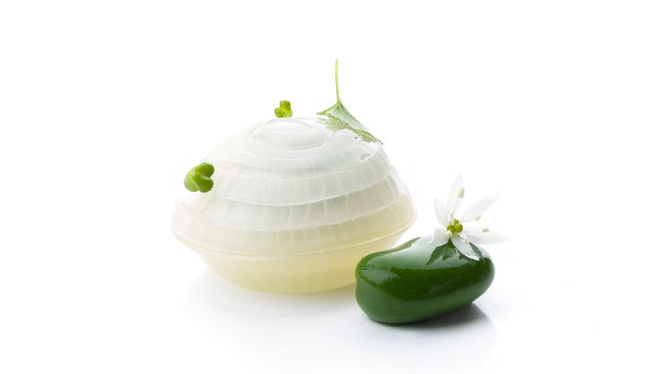 Bocuse-d'Or_2018_Garnityr_SG_Spring-Onion-and-Bean