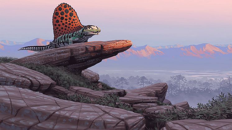 Dimetrodon, stort kräldjur med segel.