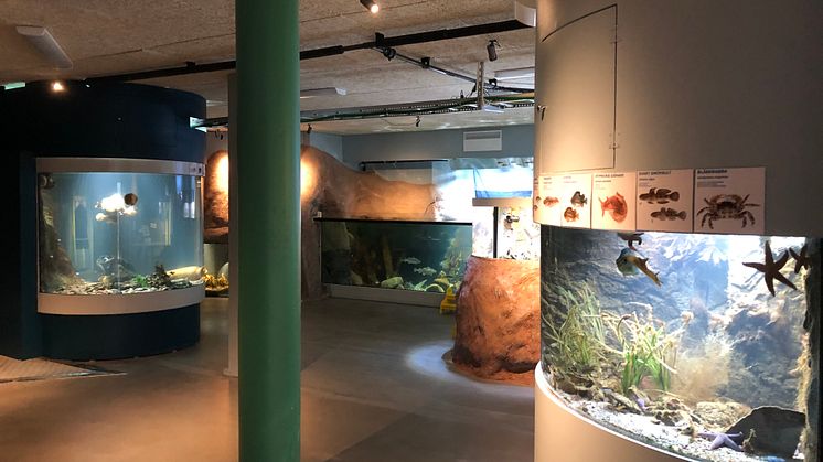 Grunda området på Havets Hus från entrén