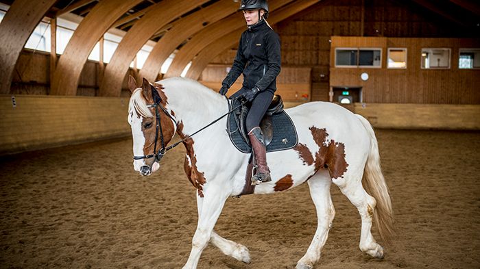 SparGyttorp2 700X500.jpg