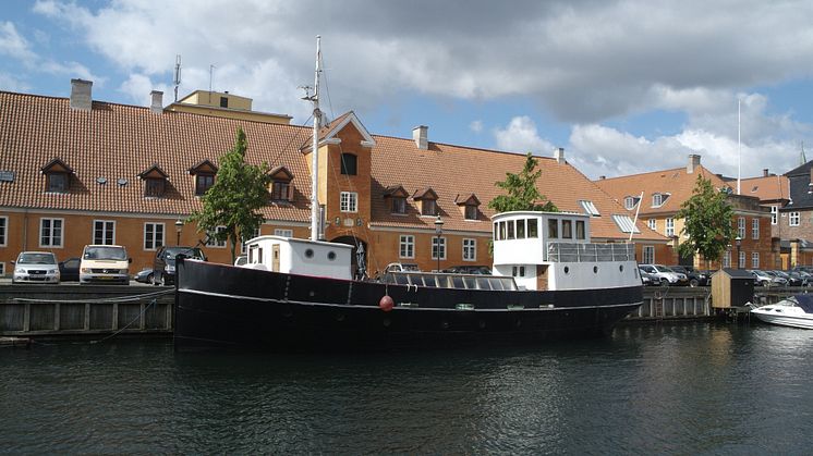 Dantegl_Nationaltag_3